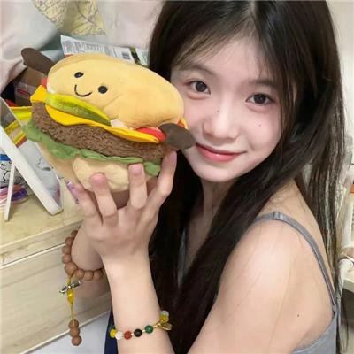 麒麟之翼